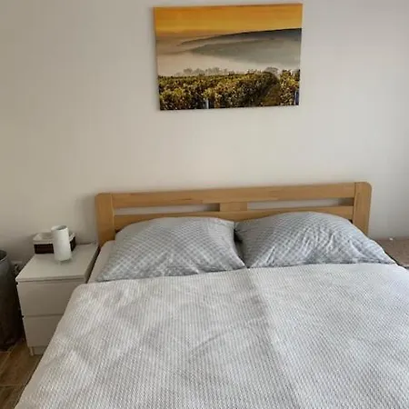 Apartman Valticky Hrozen - V Centru Historickeho Mesta - Hlavniho Mesta Vina
