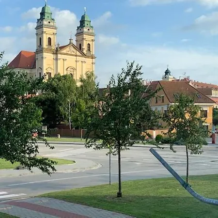 Apartman Valticky Hrozen - V Centru Historickeho Mesta - Hlavniho Mesta Vina Lejlighed